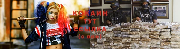 ПСИЛОЦИБИНОВЫЕ ГРИБЫ Касимов