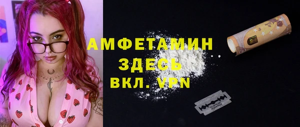 дмт Карпинск