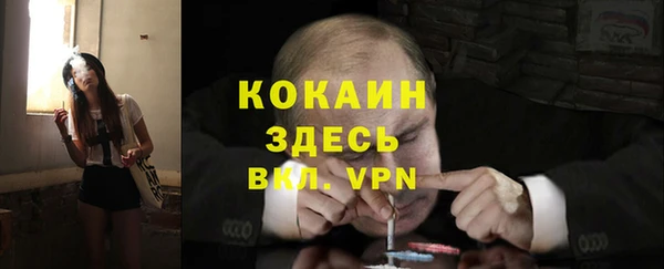дмт Карпинск