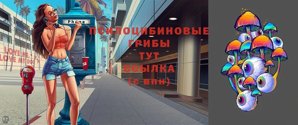 ПСИЛОЦИБИНОВЫЕ ГРИБЫ Касимов