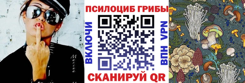 Галлюциногенные грибы прущие грибы  Купить закладки  Александров 